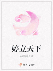 婷立天下封面