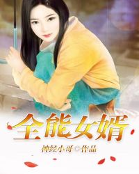 全能女婿封面