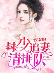 一夜双胞：封少追妻请排队封面
