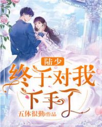 陆少终于对我下手了封面