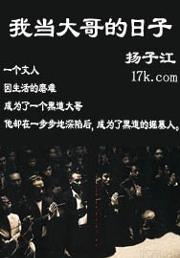 我当大哥的日子封面