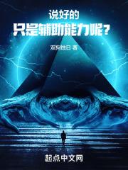 说好的只是辅助能力呢？封面