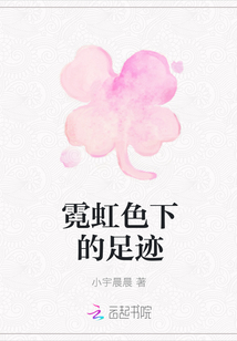 霓虹色下的足迹封面