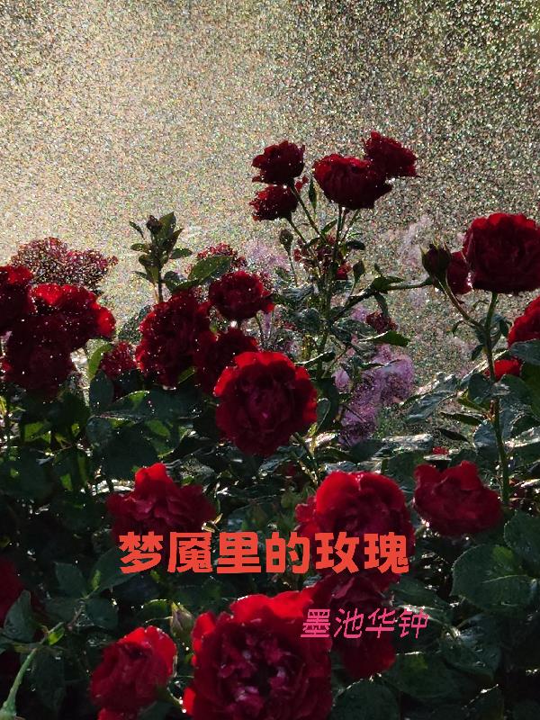 梦魇里的玫瑰封面