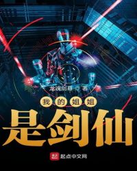 我的姐姐是剑仙封面