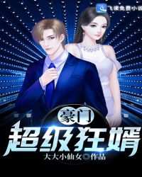 豪门超级狂婿封面