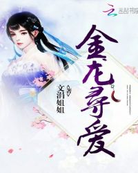 金龙寻爱封面