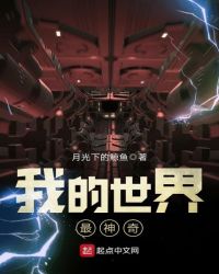 我的世界最神奇封面