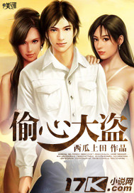 偷心大盗封面