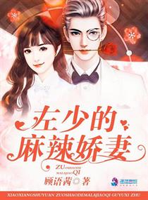 左少的麻辣娇妻封面