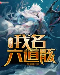 木叶之我名六道骸封面