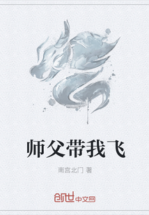 师父带我飞封面