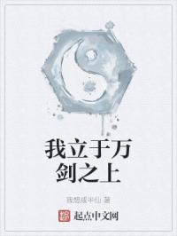 我立于万剑之上封面