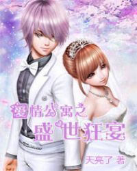 爱情公寓之盛世狂宴封面