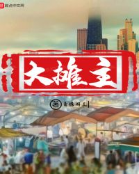 大摊主封面