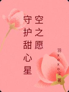 守护甜心星空之愿封面