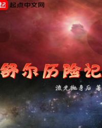 舒尔历险记封面