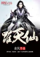 罗天仙封面