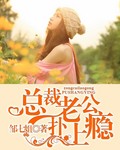 总裁老公扑上瘾封面