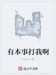 有本事打我啊封面