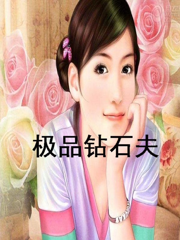 极品钻石夫封面