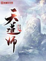 天道师封面