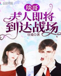 琰哥，夫人即将到达战场封面