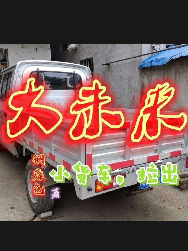 小货车，拉出大未来封面