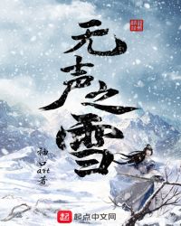 无声之雪封面