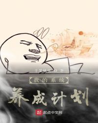我的系统养成计划封面