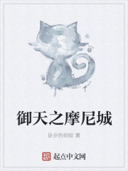 御天之摩尼城封面