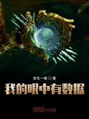 我的眼中有数据封面