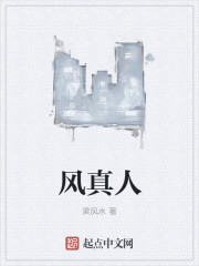 风真人封面