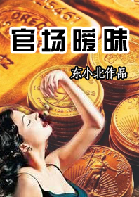 官场暧昧封面