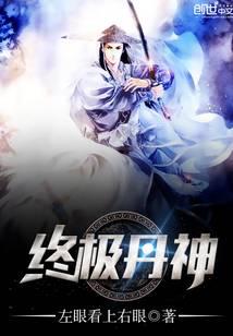 终极丹神封面