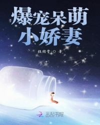 爆宠呆萌小娇妻封面