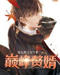 巅峰赘婿封面