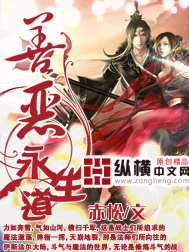 善恶永生道封面
