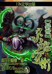 异世灵魂守卫封面