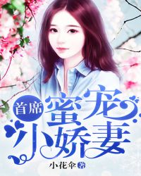 首席蜜宠小娇妻封面