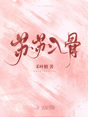 苏苏入骨封面