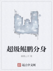 超级鲲鹏分身封面