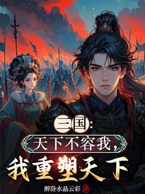 三国：天下不容我，我重塑天下封面