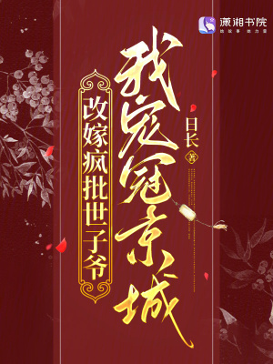 改嫁疯批世子爷，我宠冠京城封面