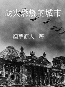 战火燃烧的城市封面