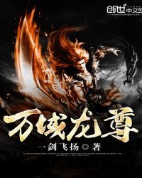 万域龙尊封面