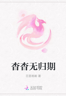 杳杳无归期封面