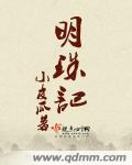 明珠记封面