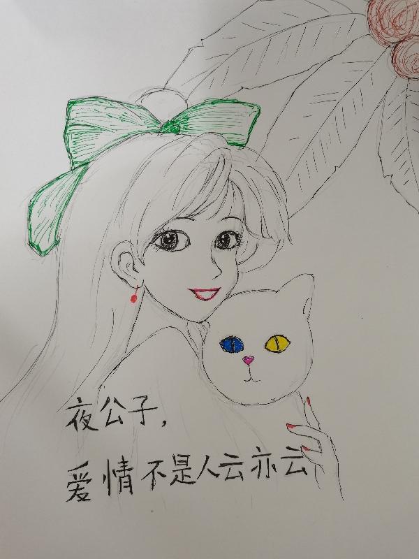 夜公子,爱情不是人云亦云封面