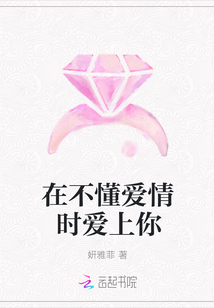 在不懂爱情时爱上你封面